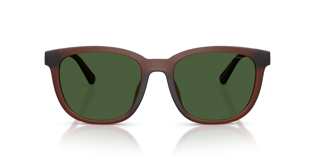 Coach HC8442U CCA00 Square Sunglasses - Matte Black