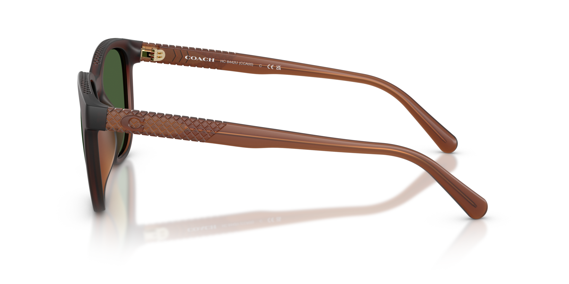 Coach HC8442U CCA00 Square Sunglasses - Matte Transparent Brown