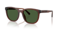 Coach HC8442U CCA00 Square Sunglasses - Matte Transparent Brown