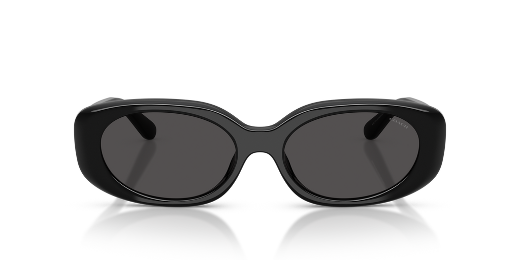 Coach HC8443D CBY84 Oval Sunglasses - Milky Cloud
