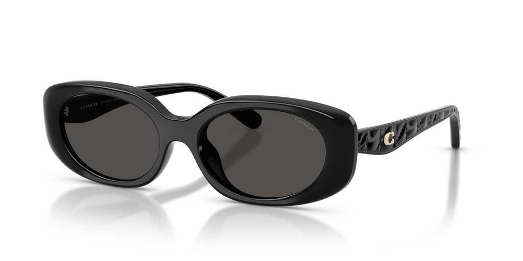 Coach HC8443D CBY84 Oval Sunglasses - Black
