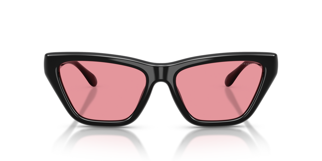 Coach HC8449U CDP33 Cat Eye Sunglasses - Black