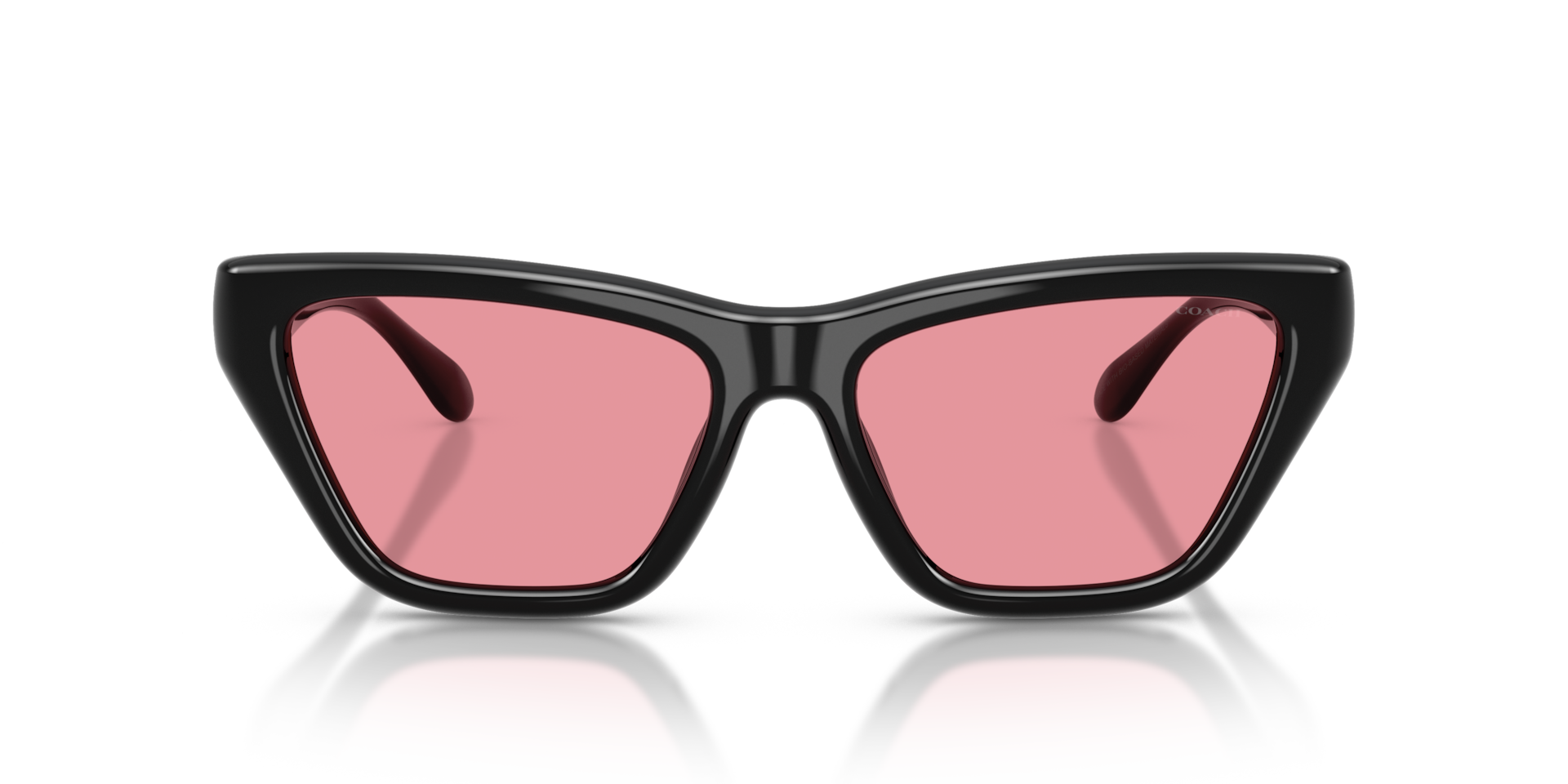 Coach HC8449U CDP33 Cat Eye Sunglasses - Black