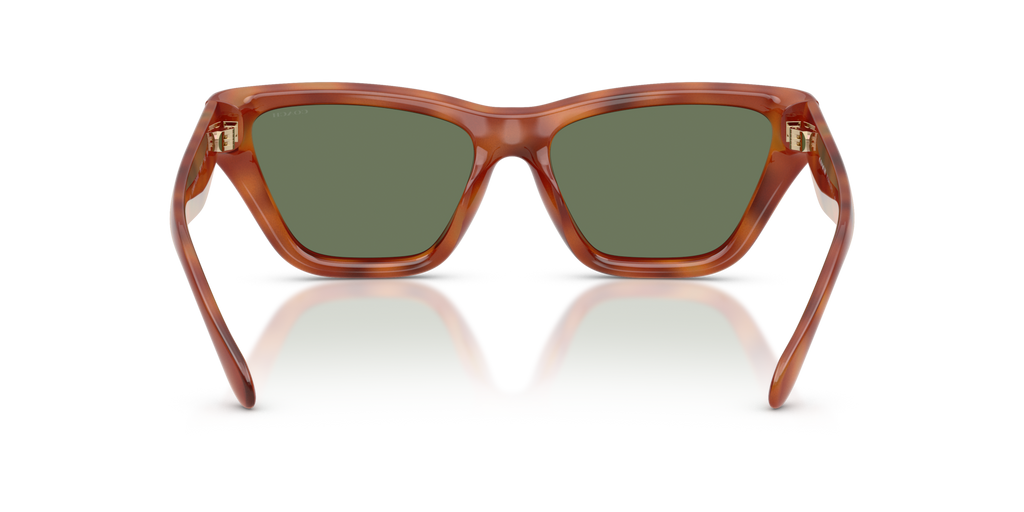 Coach HC8449U CDP33 Cat Eye Sunglasses - Black