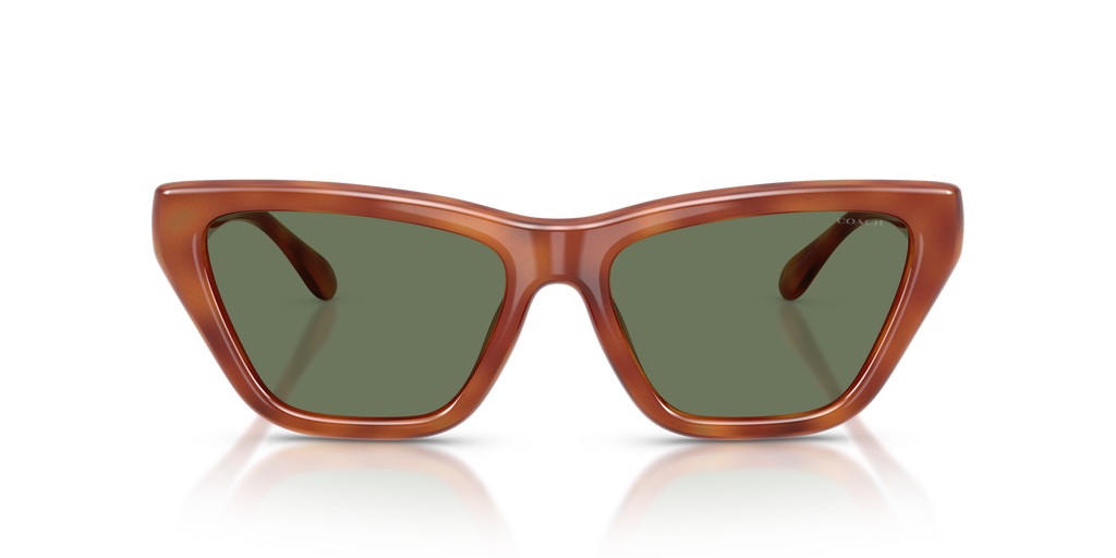 Coach HC8449U CDP33 Cat Eye Sunglasses - Caramel Tortoise