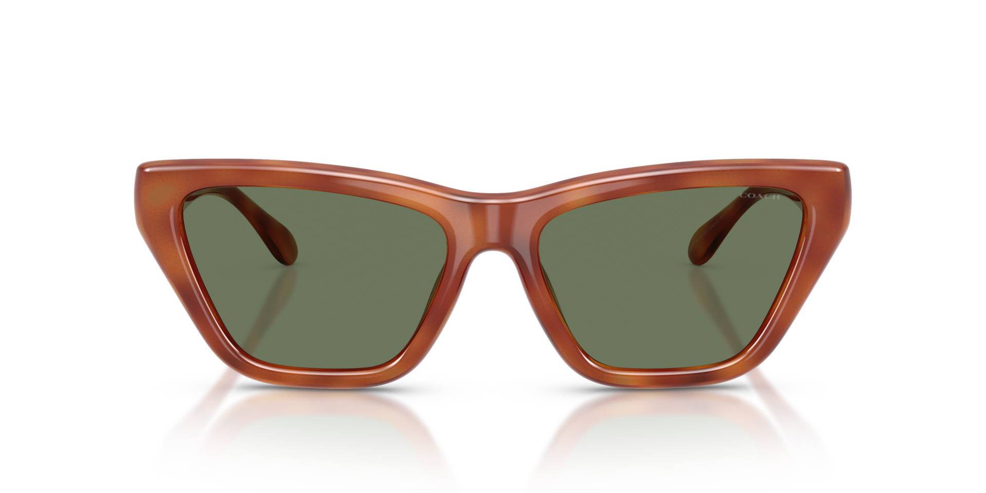 Coach HC8449U CDP33 Cat Eye Sunglasses - Caramel Tortoise