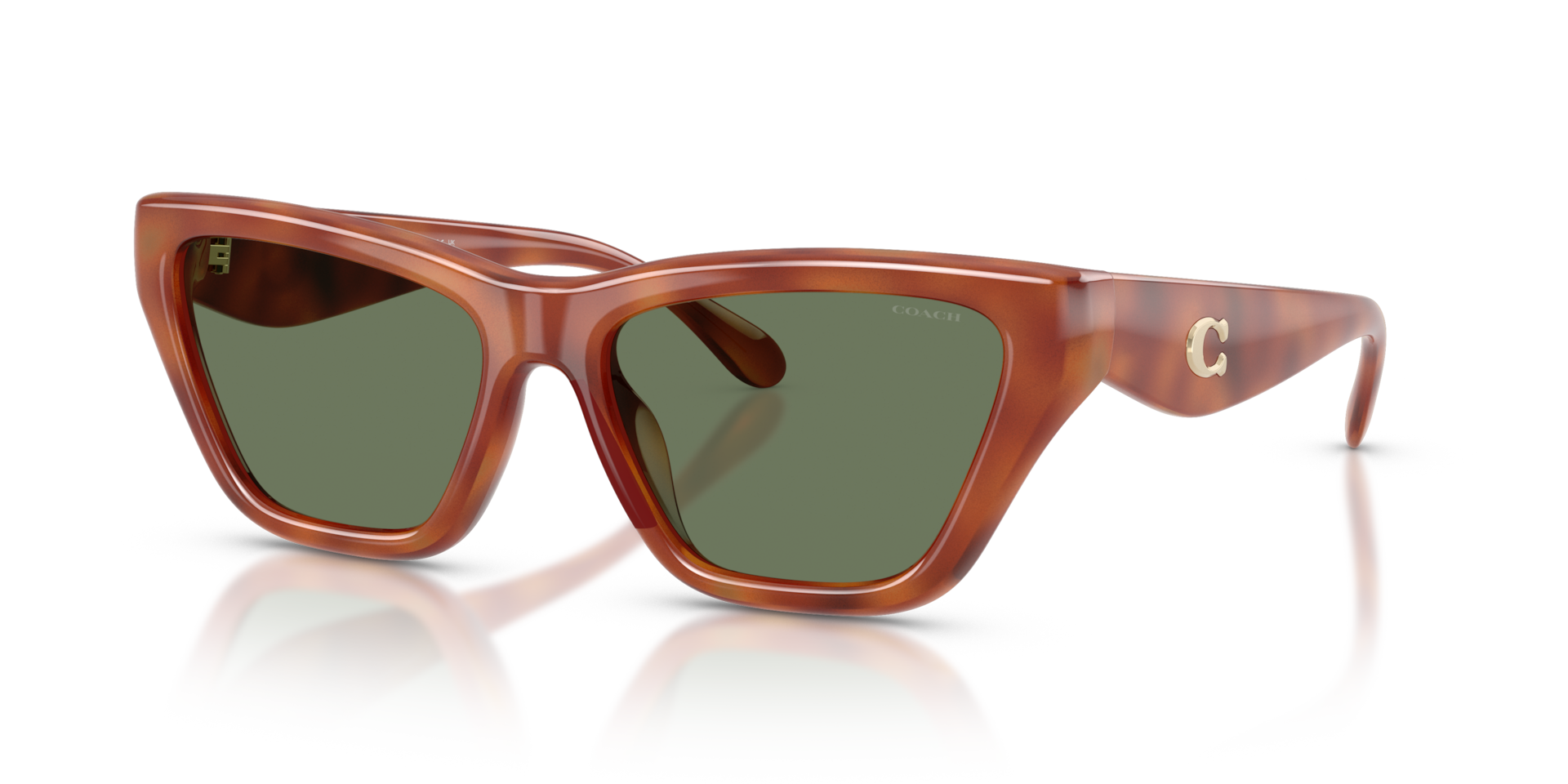 Coach HC8449U CDP33 Cat Eye Sunglasses - Black