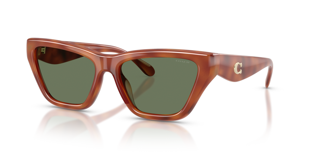 Coach HC8449U CDP33 Cat Eye Sunglasses - Caramel Tortoise