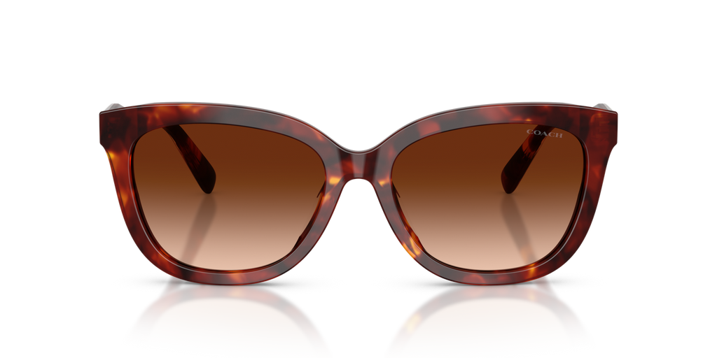 Coach HC8453U CDP53 Square Sunglasses - Purple Cosmo Tortoise