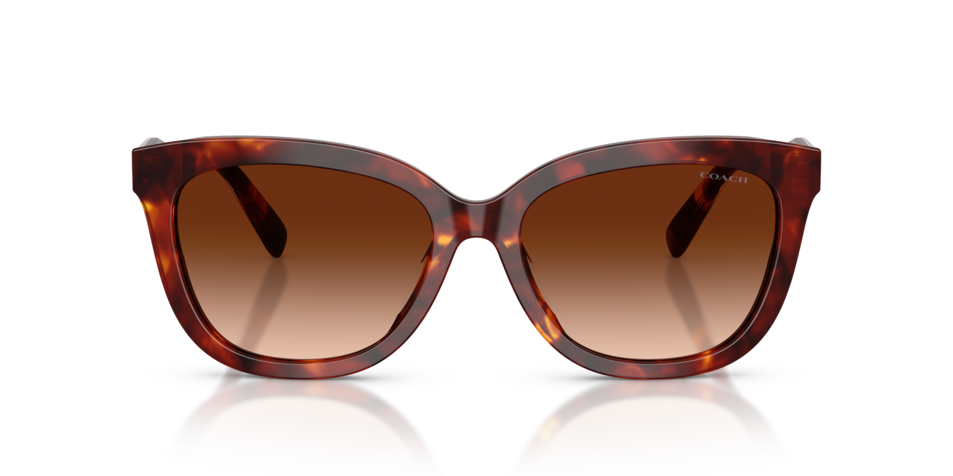 Coach HC8453U CDP53 Square Sunglasses - Purple Cosmo Tortoise